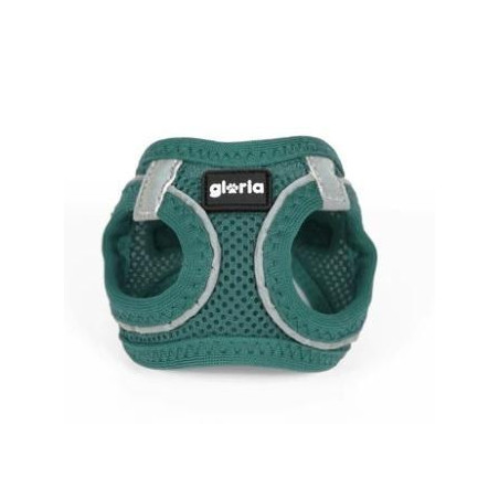 GLORIA Arnes Air Mesh Trek Star Verde